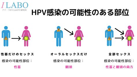 クンニ デメリット|オーラルセックスによる性感染症に関するQ＆A